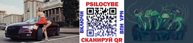 Галлюциногенные грибы Psilocybe  KRAKEN сайт  Давлеканово  купить  