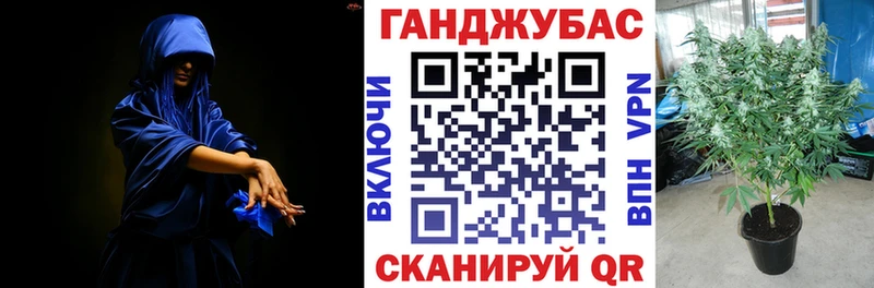 Шишки марихуана MAZAR  продажа наркотиков  Давлеканово 